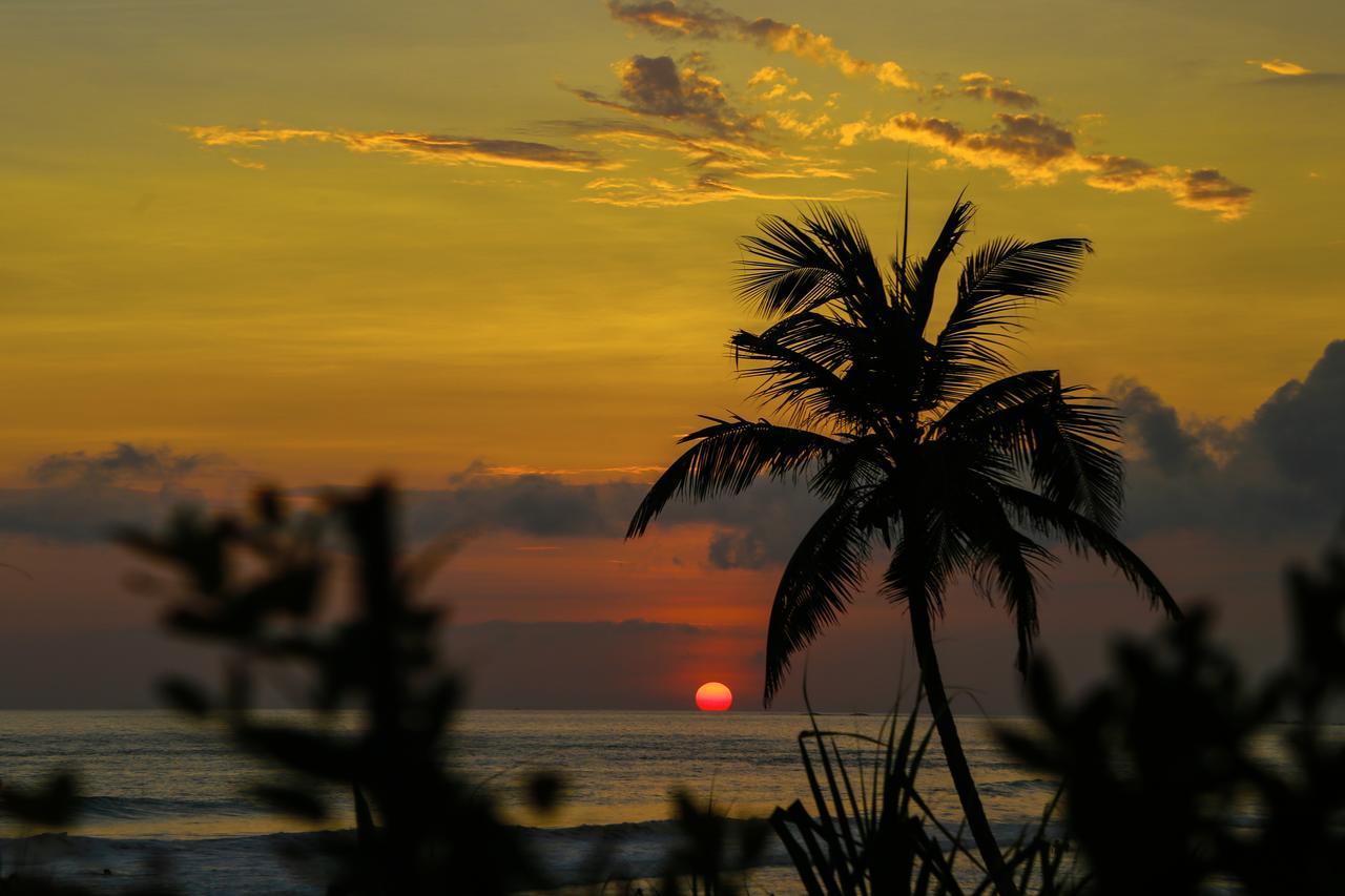 Top Secret Beach Hotel Matara Exterior photo